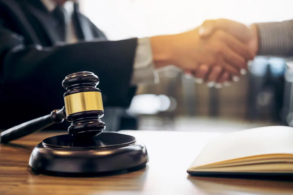 Professional NSW law firm providing successful,  legal services